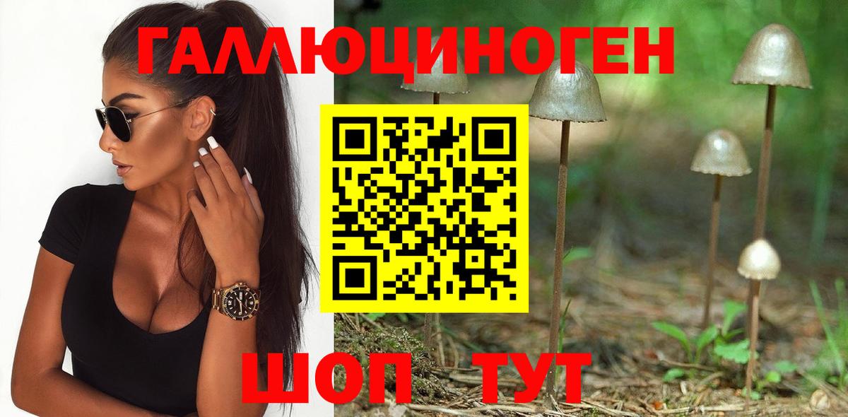 Галлюциногенные грибы Magic Shrooms Ухта